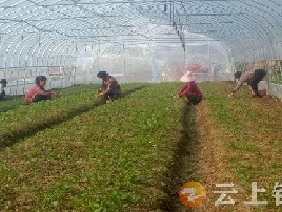 钟祥市“三金”模式盘活农村资源促振兴