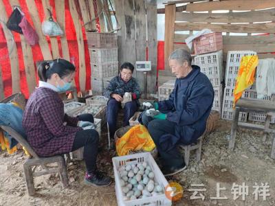  暖心 ！网格员心系脱贫户助销鸭蛋稳增收