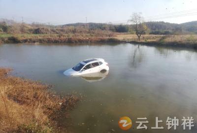 惊险！轿车不慎落水，众人联手救出5名落水者