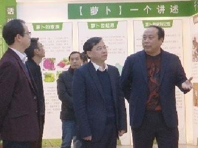 杨孟富调研荆沙蔬菜种植专业合作社萝卜产业