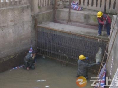 钟祥城区护城河停止生态补水  开展排口整治