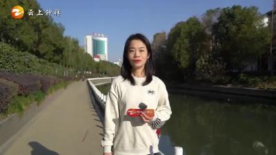 《橙子说事儿》@钟祥人 修建钟祥城市形象雕塑，你有什么建议？