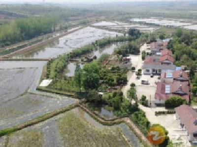 奖补5000万元！钟祥上榜全省美丽乡村示范片建设试点县！