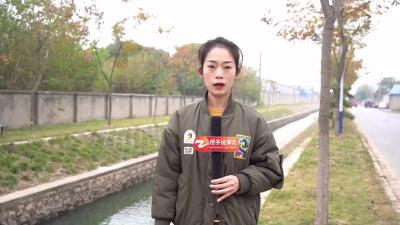 《橙子说事儿》灯亮了，心亮啦！