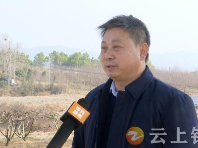 朱小林：助推乡村振兴  助力农民致富