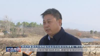 【寻访最美钟祥人】 朱小林