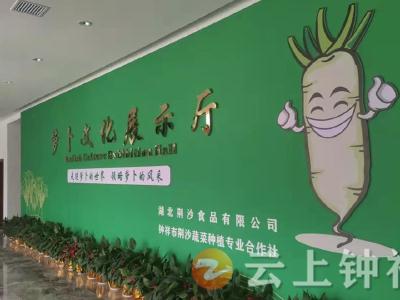 全国第五！荆沙蔬菜合作社入选中国农民合作社500强