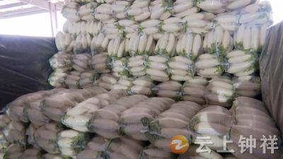 钟祥茂泰紧急驰援爱心萝卜一路向“西”