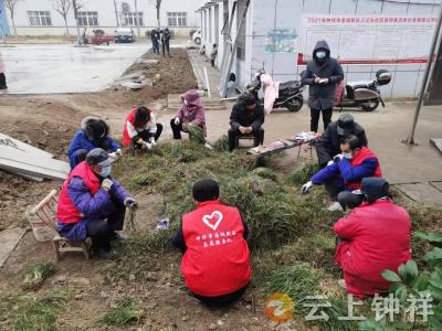 数九寒冬冷  社区植草忙  钟祥市南湖新区三公头社区义务植草