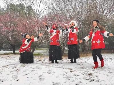 钟祥市：雪中丽影