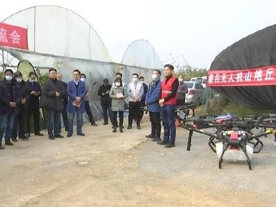 钟祥市农机发展中心：聚焦果园植保短板  组织无人机飞防现场竞技
