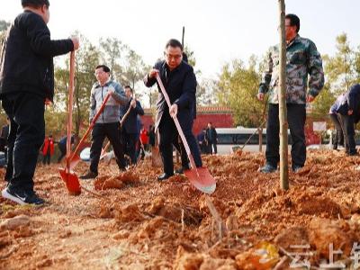 不负春光，播种希望！钟祥市开展春季义务植树活动