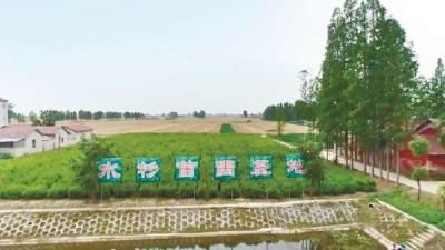 钟祥深度贫困村计划分红50万元