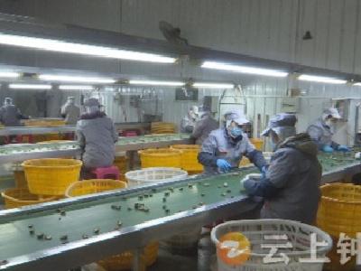 兴利食品：虎年“虎劲”足 开足马力忙生产