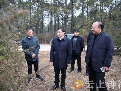杨孟富督办检查森林督查问题整改、林长制和疫情防控等工作