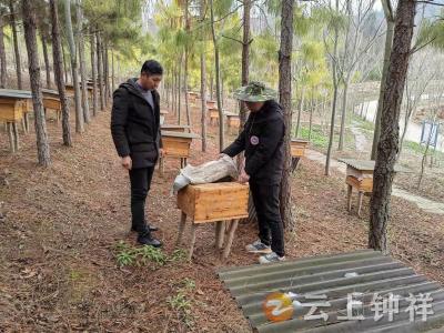东桥镇三星村：人勤春来早