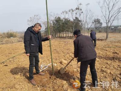 石牌镇开展全民义务植树活动