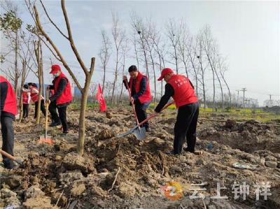 钟祥市南湖新区、人民医院共同开展植树造林活动