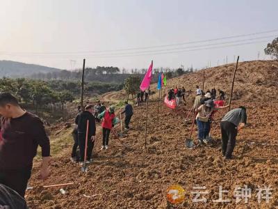 春风暖大地    植绿利万家   磷矿镇干部群众积极开展植树造林活动