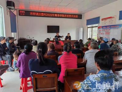 东桥镇三星村：中蜂养殖培训助推“甜蜜事业”