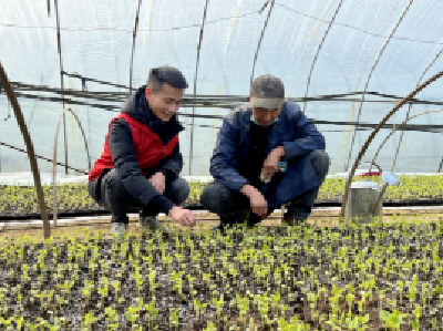 湖北农商行：存款规模超万亿，支农责任扛上肩