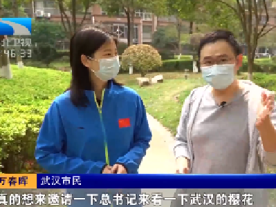 “盼望总书记来武汉赏樱花”