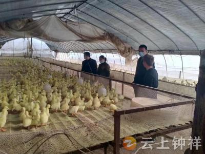长寿镇：吹响产业发展集结号