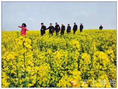 湖北钟祥 油菜花开春意浓