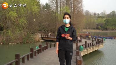 《橙子说事儿》莫愁湖面漂浮不少死鱼，到底咋回事？