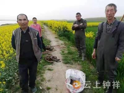涉嫌犯罪！旧口三村民汉江非法捕鱼被移交公安机关处理