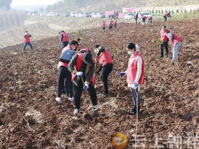 “青春建功新时代·雷锋精神永传承” 共青团钟祥市委组织开展义务植树活动
