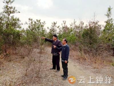 全民动员  全员上阵  钟祥市张集镇多措并举织密森林防火网