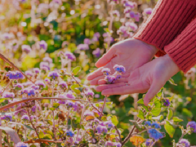 不负春光向美而生，不负韶华放牧希望 