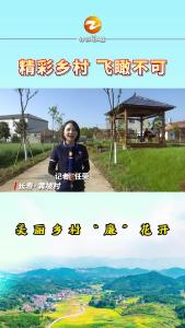 长寿镇黄坡村：美丽乡村“廉”花开