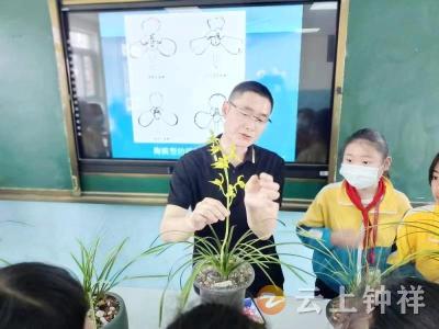 保护野生兰草“从我做起”！钟祥市张集小学开展学习实践活动