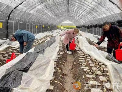 多措并举  钟祥市张集镇长河村助力脱贫户稳定增收