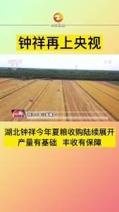 “产量有基础  丰收有保障”钟祥夏粮丰收上央视