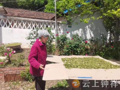 抓大薅小  钟祥市张集镇宗湾村民主业副业齐增收