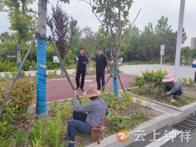 钟祥市住建局迅速启动“电视问政”曝光问题整改行动
