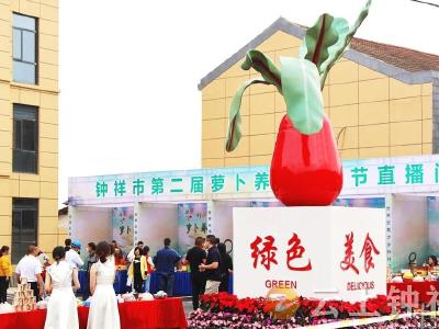 湖北钟祥 本土网红集体打卡萝卜节 助力钟祥农产品网销
