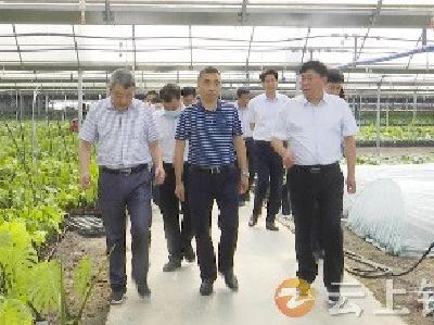 白海峰调研钟祥“一枝花”工程建设