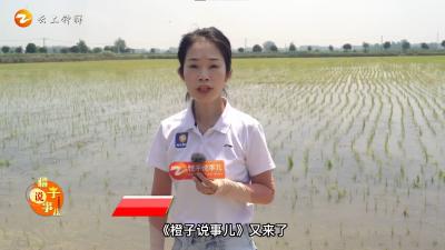 《橙子说事儿》抗旱保丰收，应急连民心
