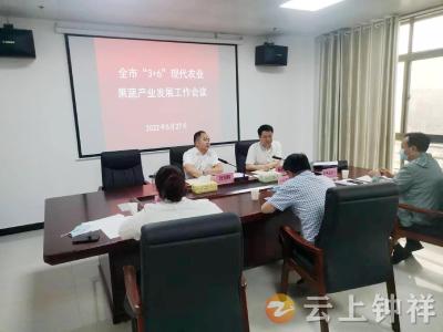 汪祖程主持召开全市3+6现代农业果蔬产业发展座谈会