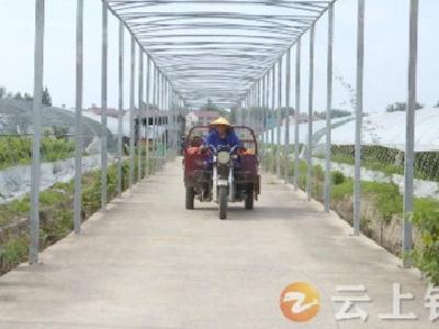 湖北平杰净菜有限公司：“农超对接”让土地增效  农民增收