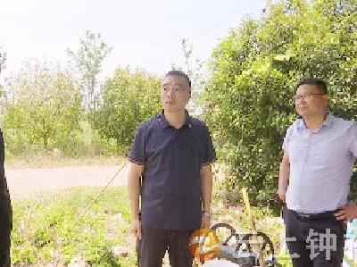 白海峰在长寿镇开展“下基层察民情解民忧暖民心”实践活动