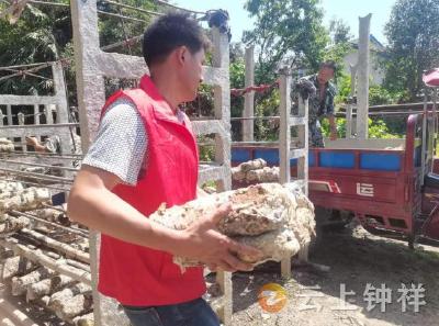 张集镇宗湾村：问题清单我来盯 真下基层暖民心 