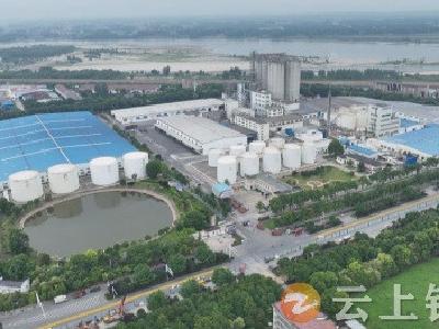 钟祥再上央视！这次是中粮祥瑞公司夏油收购