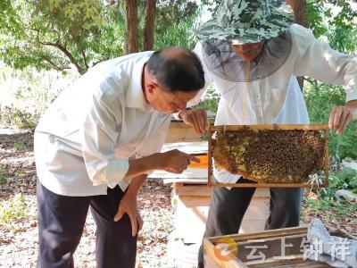 酿造甜蜜生活 “助残天使” 帮扶钟祥市残疾人共致富