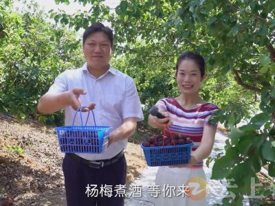 定了 !钟祥(长滩)第五届杨梅节6月10日盛大开幕！邀你来品尝