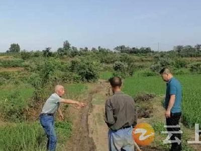 胡集镇虎山村：田间机耕路 修到“心坎上”